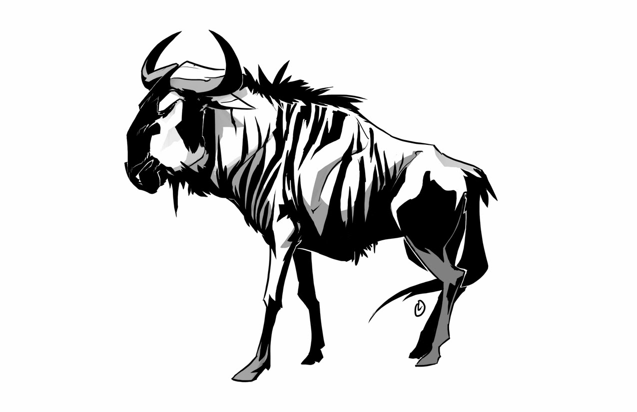 1275x825 Baby Wildebeest Drawing