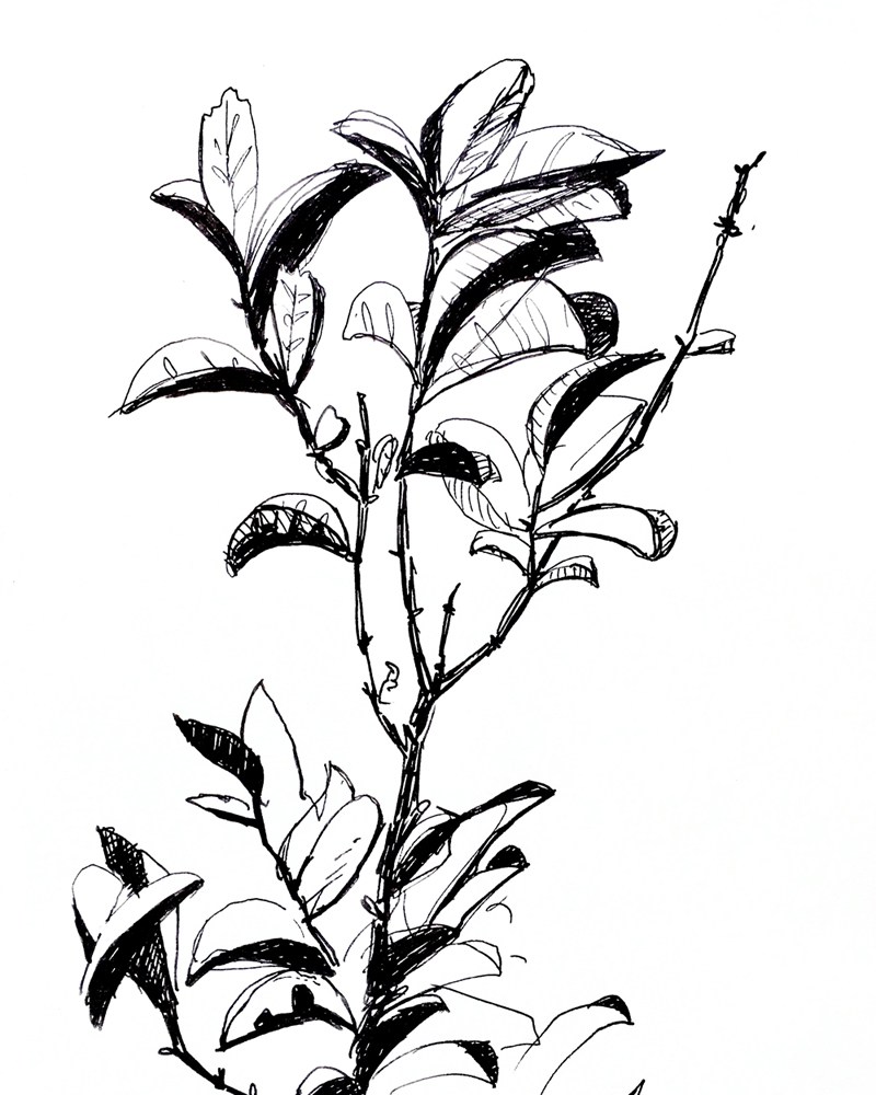 800x1000 Simon O'carriganwilderness Heart, Archives Simon O'carrigan