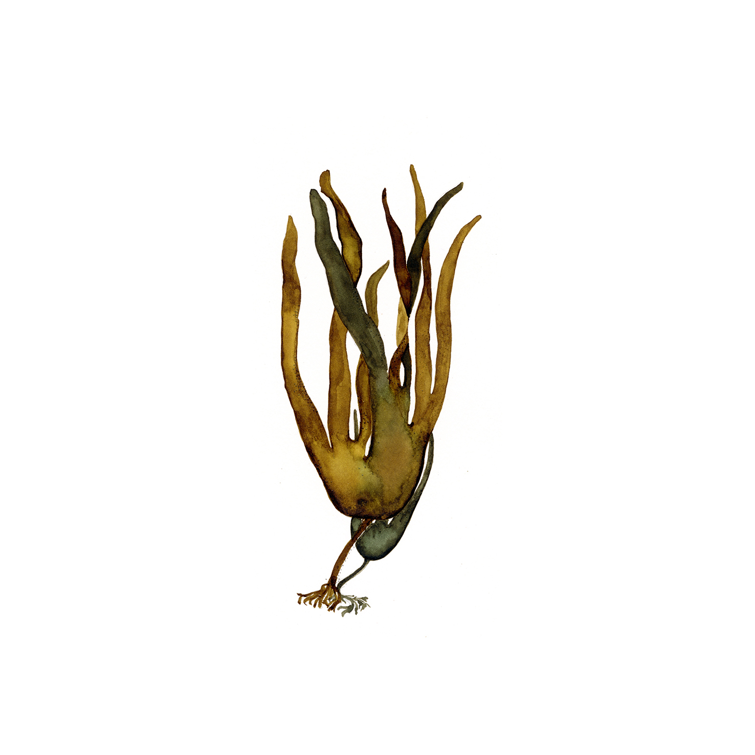 1476x1476 Store Knockvologan Studies