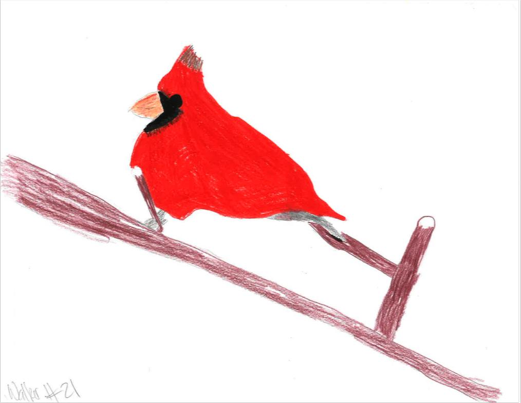 1014x784 Cfi Education On Twitter Gallery Time! These Wonderful Animal