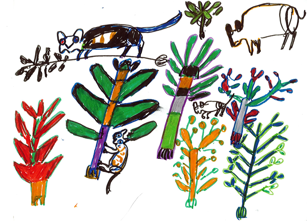 1000x721 children's ecological knowledge drawings as a tool