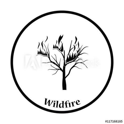500x500 wildfire icon