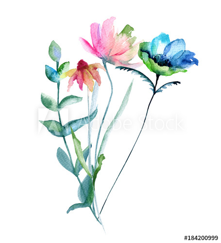 455x500 Bouquet Of Wildflowers Isolated On White Background