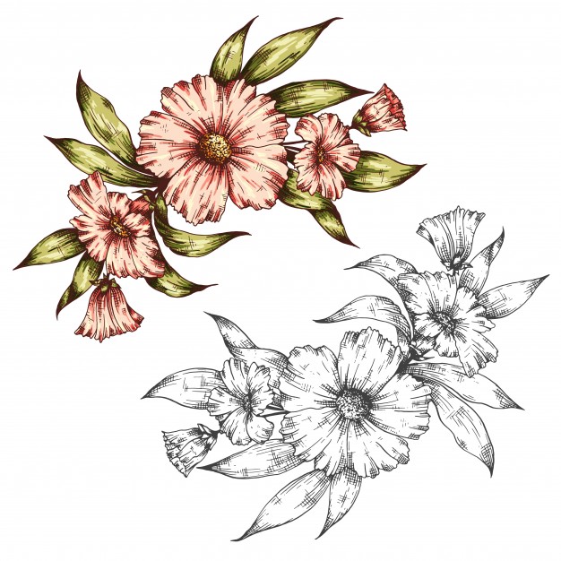626x626 Floral Vector Bouquet Vector Premium Download