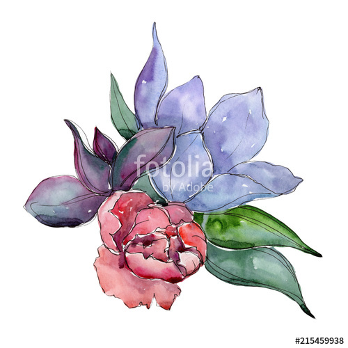 500x500 Watercolor Bouquet Tropical Flowers Floral Botanical Flower