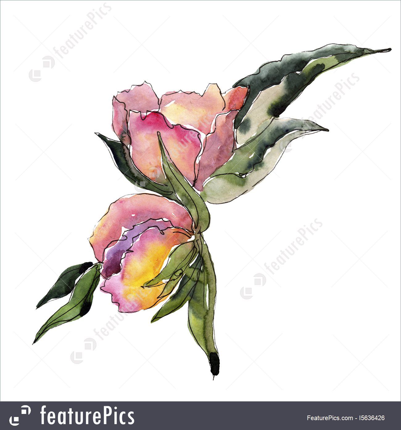 1300x1392 Wildflowers Bouquet Watercolor Illustration