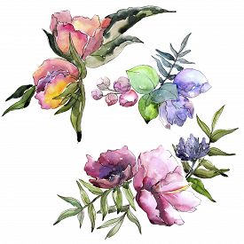 275x275 Botanical Drawings Photos And Images