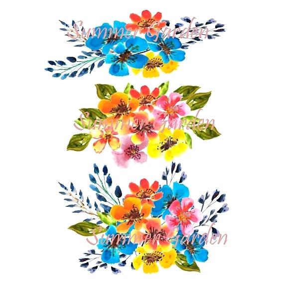 570x570 Wildflower Clipart Coatl