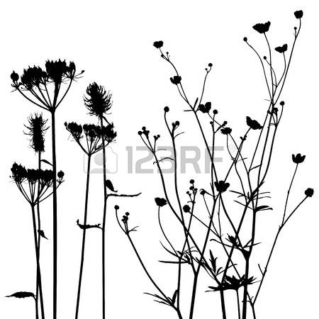 450x450 Drawn Wildflower Plant