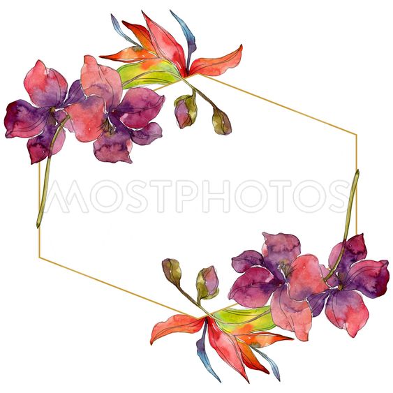 563x563 Exotic Tropical Floral Bota