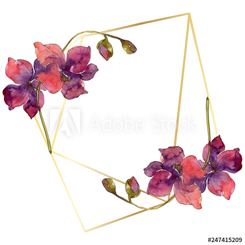 500x500 Exotic Tropical Floral Botanical Flowers Wild Spring Leaf