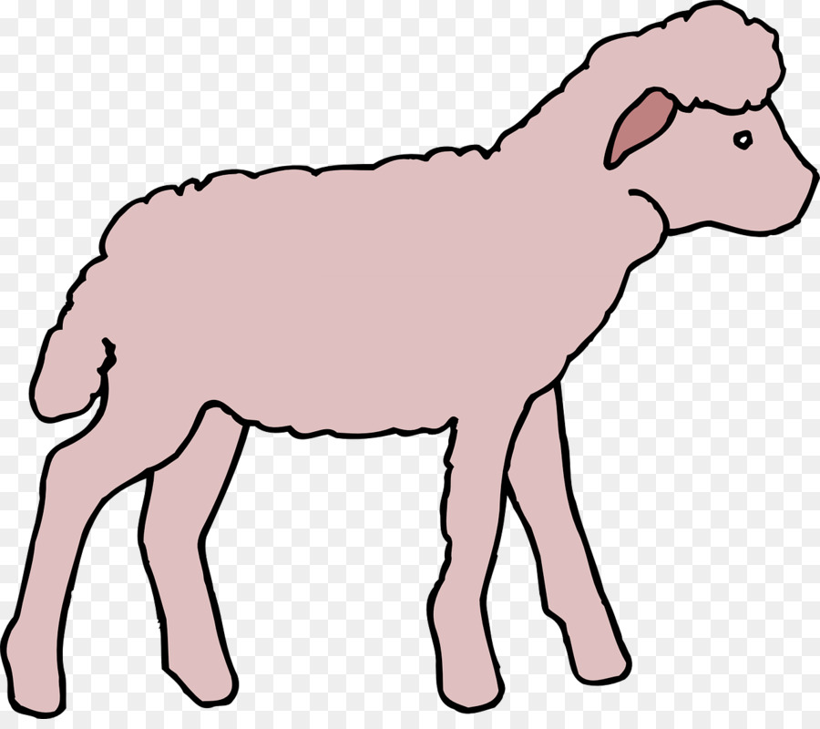 900x800 Sheep, Drawing, Wildlife, Transparent Png Image Clipart Free