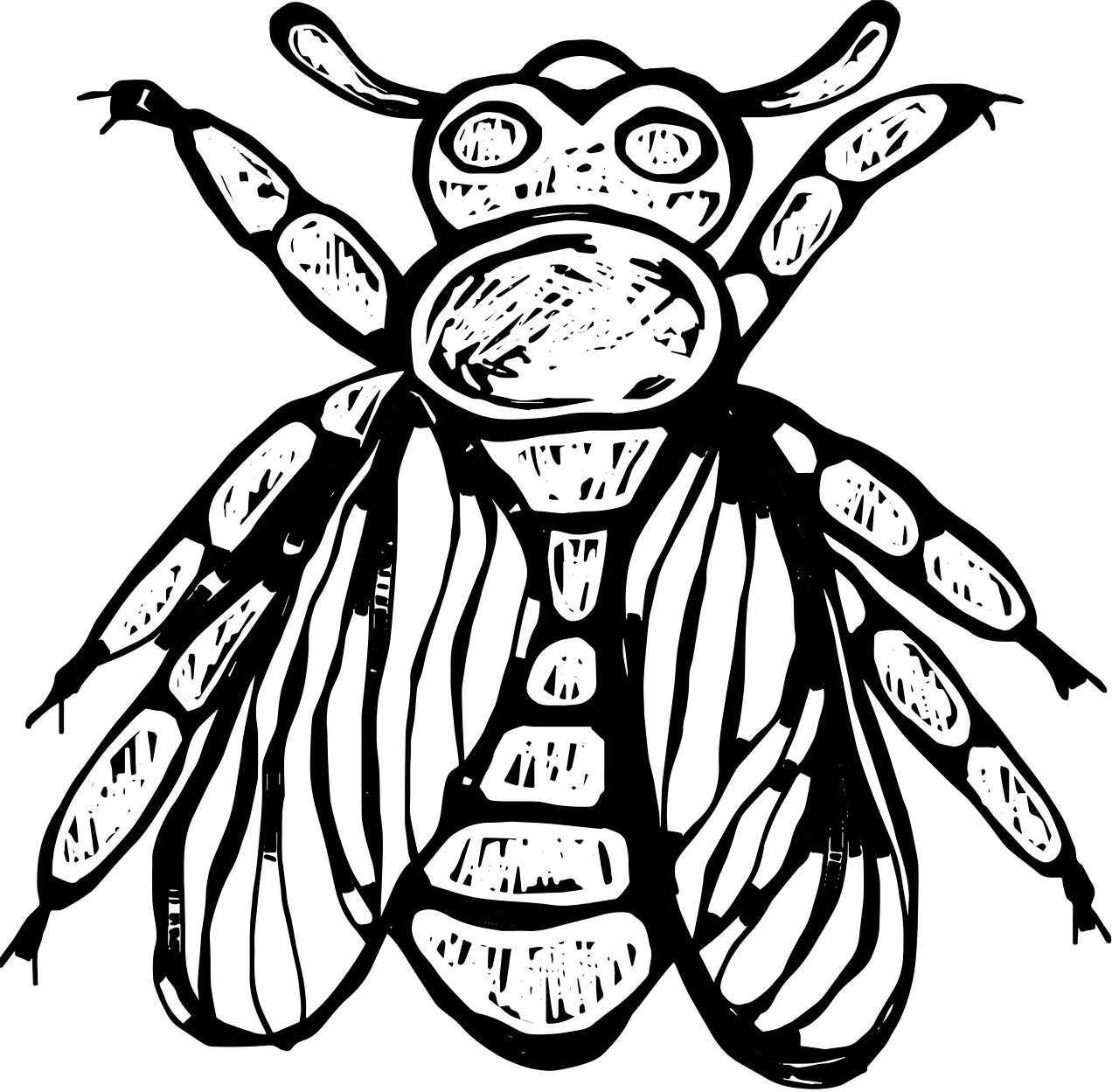 1280x1249 Animal,nature,wild,wildlife,wild Life