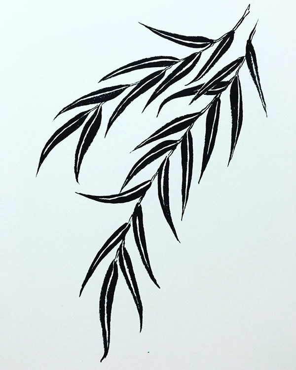 600x750 Chickadee Willow Spot Illustrations On Ccs Portfolios