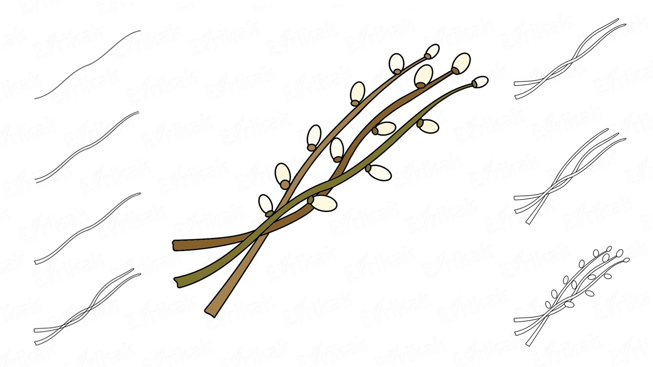 1300x731 How To Draw Willow Branches Step