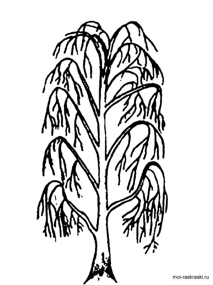 750x1000 Willow Tree And Landscape Coloring