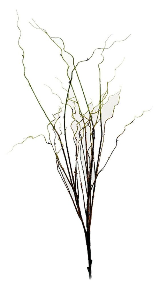 561x1000 Artificial Brown Green Twig Curly Willow Branch Spray Floral