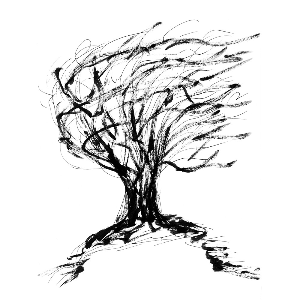 1000x1000 Autumn Willow