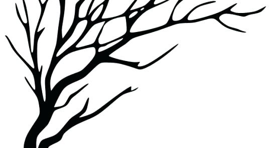 540x296 Tree Drawing No Leaves Tree With No Leaves Silhouette Stock Photo