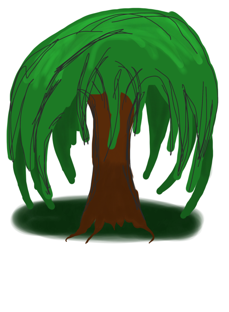 765x1044 Willow Drawing Tree Transparent Png Clipart Free Download