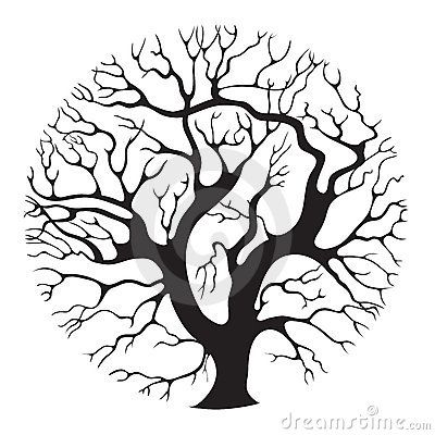 400x400 Willow Tree Sketches