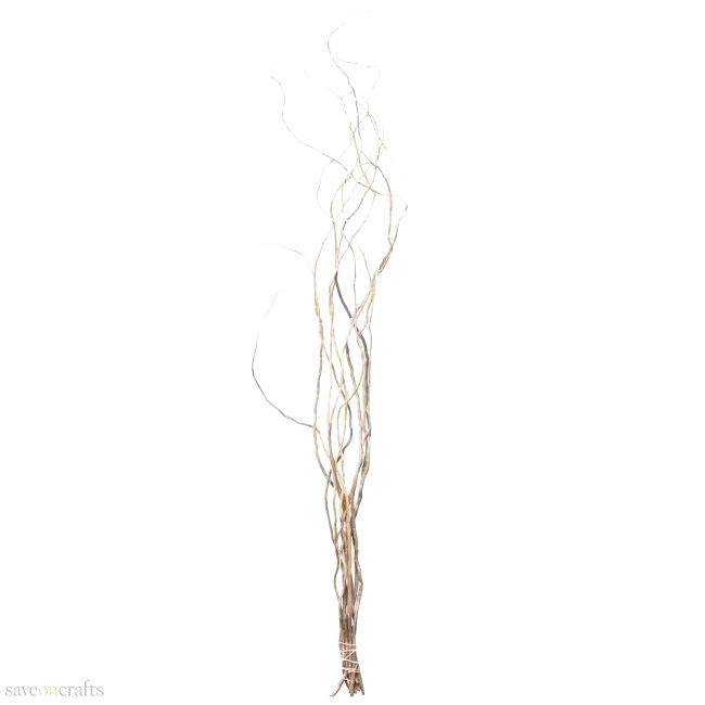 650x650 Willow Tree Branches