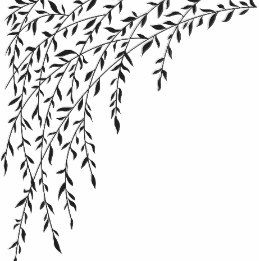 Willow Tree Line Drawing