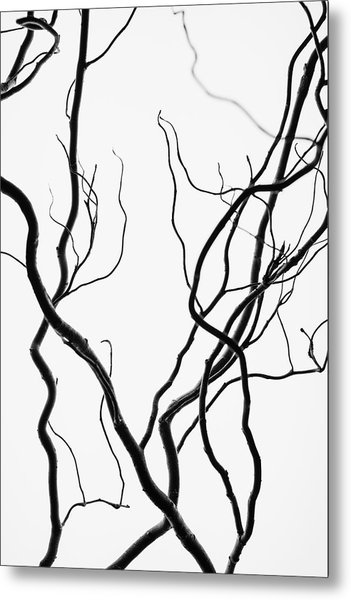 351x600 Willow Tree Branches Photograph