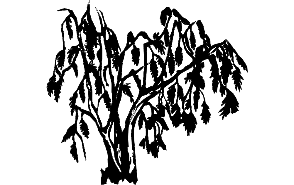 1002x633 Willow Tree Dxf Free Download