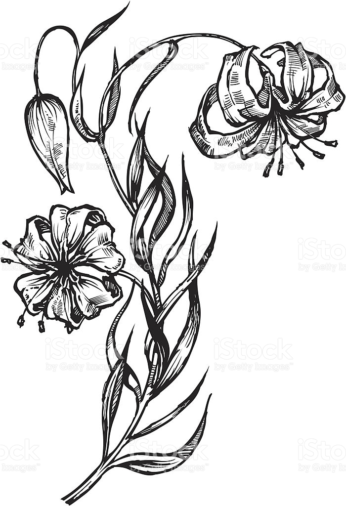 700x1024 Collection Of Free Drooped Clipart Drawing Download On Ui Ex