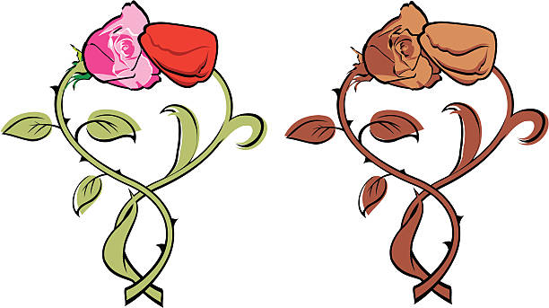 612x343 Collection Of Free Fading Clipart Dead Flower Download On Ui Ex