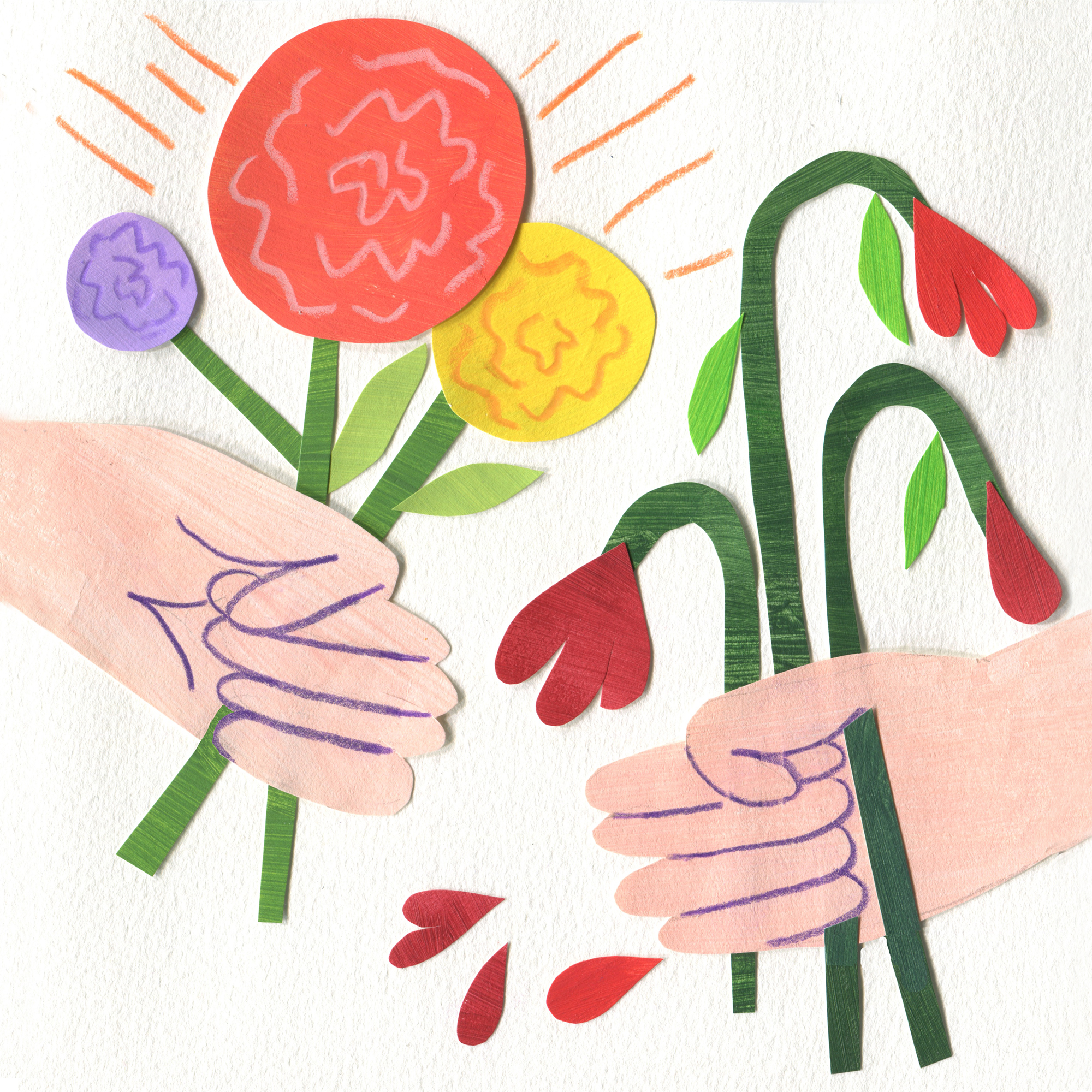 2000x2000 Monsanto Cultivates A Rose That Doesn't Wilt