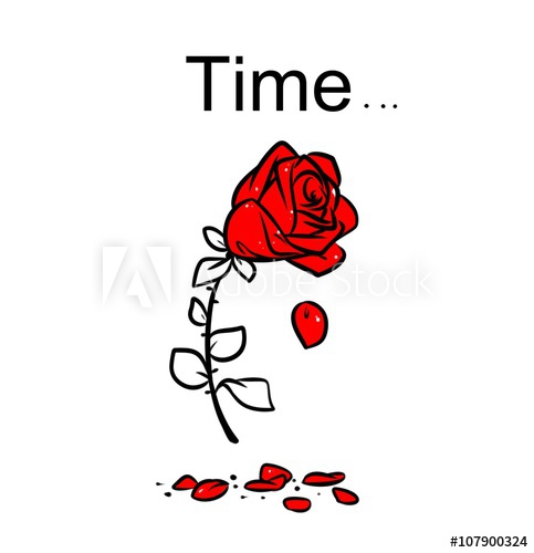 483x500 rose wilting lifetime cartoon contour illustration style black red