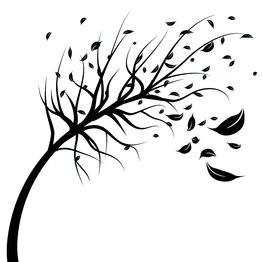 1000x1000 Collection Of Free Fall Drawing Wind Blown Tree Download On Ui Ex