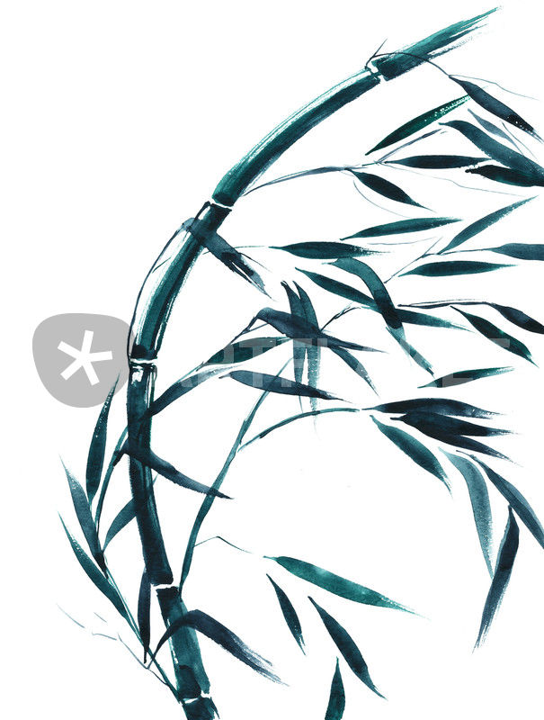 605x800 Bambus Im Wind Drawing Art Prints And Posters