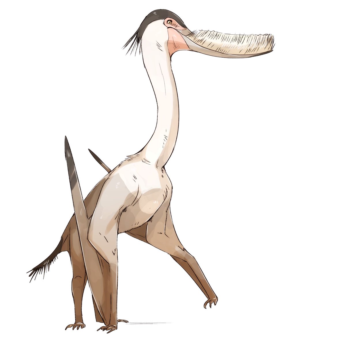 1200x1200 Windy Tcaf Vancaf On Twitter Not