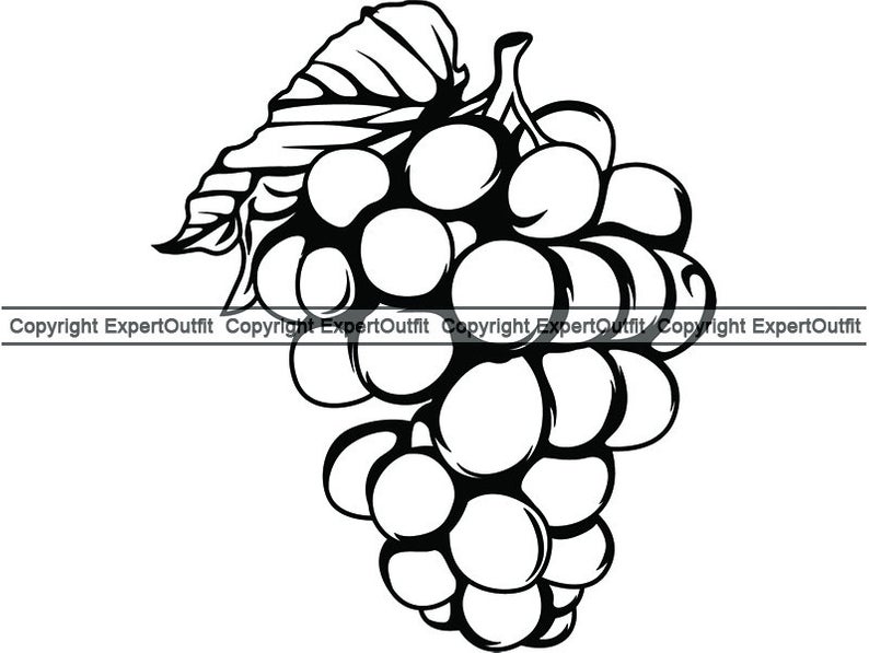 794x597 grape vine wine winery vineyard wineglass glass label drink etsy