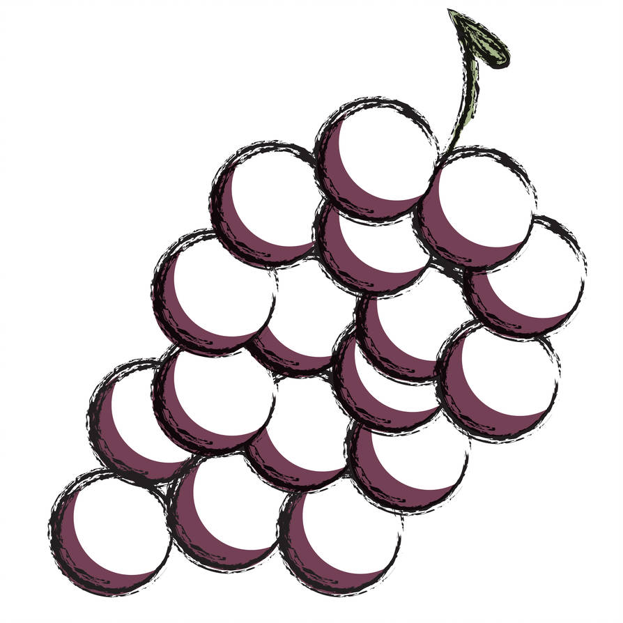 894x894 Grapes Of Wine