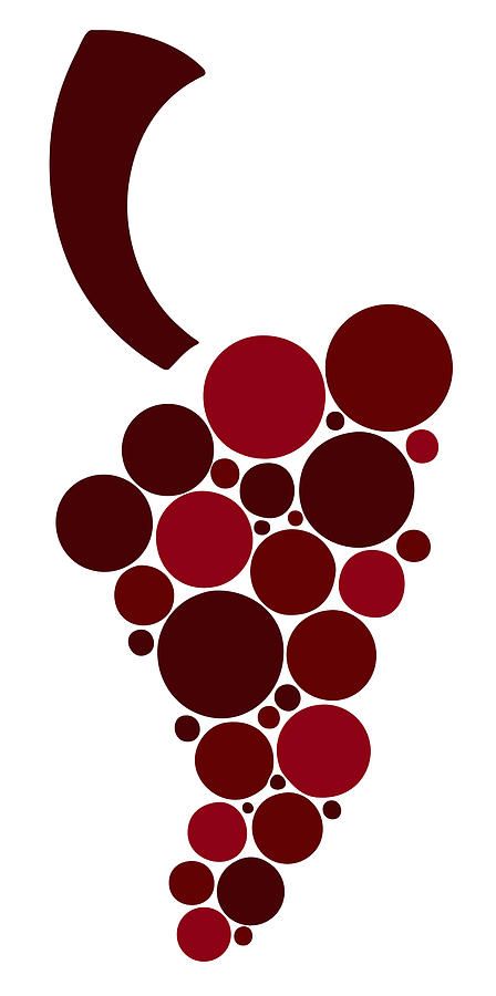 448x900 Wine Grapes Drawing Art