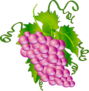 294x300 Collection Of Free Grapes Drawing Wine Grape Download On Ui Ex
