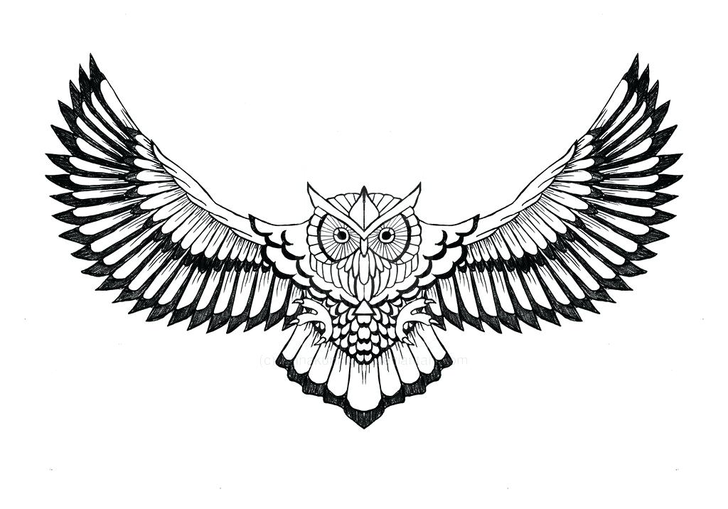 1024x716 Owl Drawing Outline Colorful Owl With Open Wings Tattoo On Chest