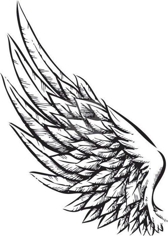 570x797 Different Wings Tattoos In Wing Tattoo Designs