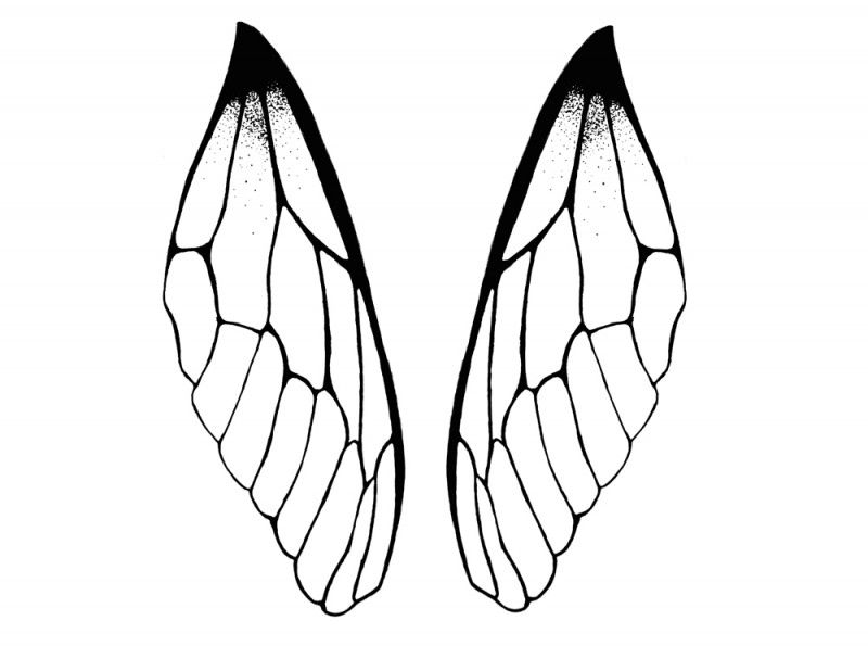 800x595 Dragonfly Tattoo Meaning