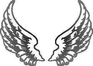 299x213 Hawk Wings Drawing