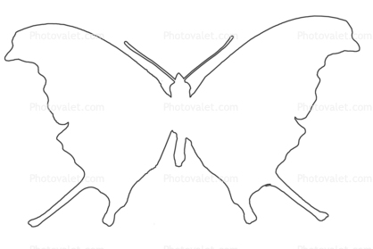 418x279 Send Postcard Butterfly Outline, Wings, Line Drawing, Shape