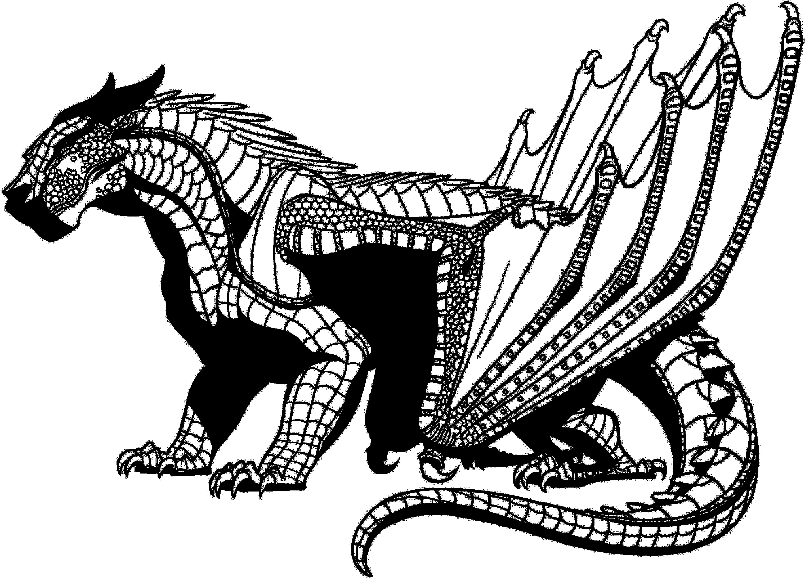 3040x2214 Wings Of Fire Stormwing Tribe Lineart