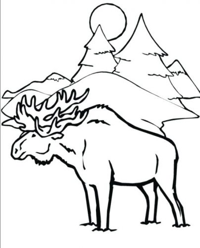 404x500 Coloring Pages Winter Animal Coloring Sheets Animals In Pages