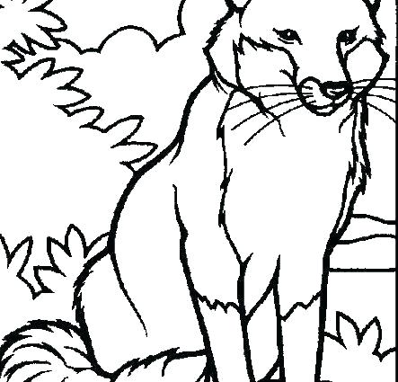 443x425 Free Coloring Pages Animals Coloring Free Coloring Pages Animals