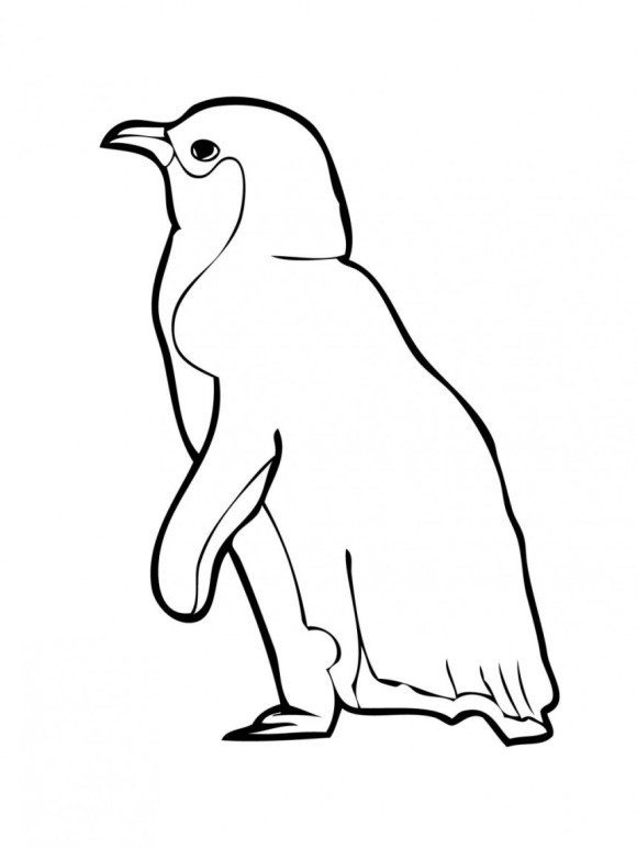 580x773 Printable Penguin Coloring Pages Coloring Pages Winter Fun