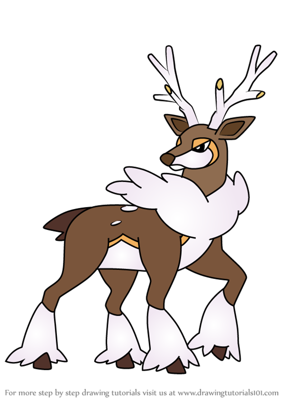 565x800 Learn How To Draw Sawsbuck